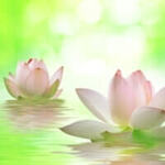 電話占いリエル 香先生