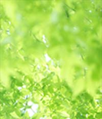 電話占いフィール ミズキ