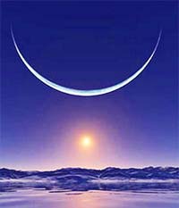 電話占いフィール 望