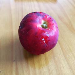 ココナラ電話占い すず。369