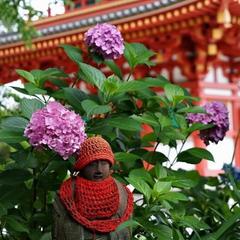 ココナラ電話占い 霊導師 天明
