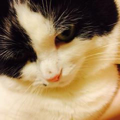 ココナラ電話占い ＨＩＭＡＲＡＹＡ